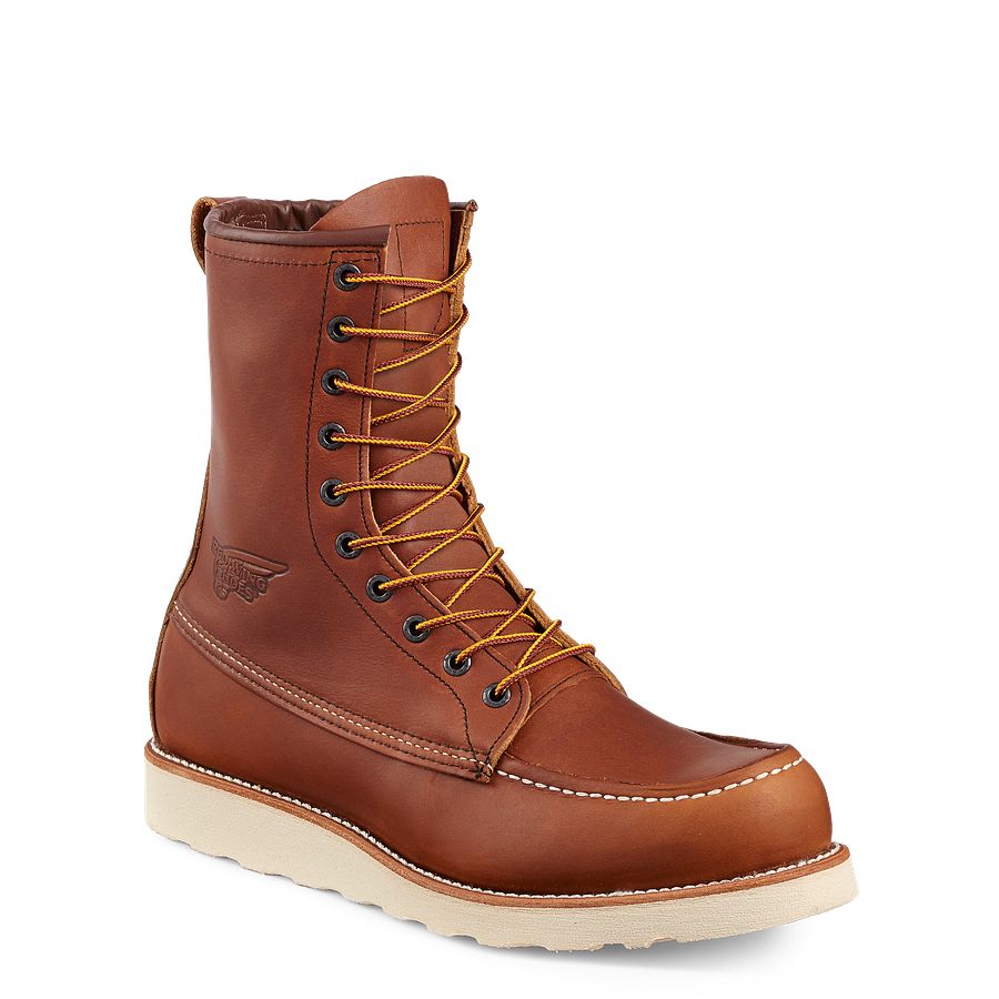Traction Tred